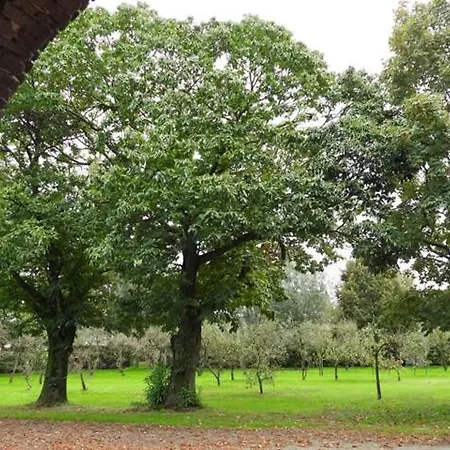 Boerderij La Trappe Farm stay *