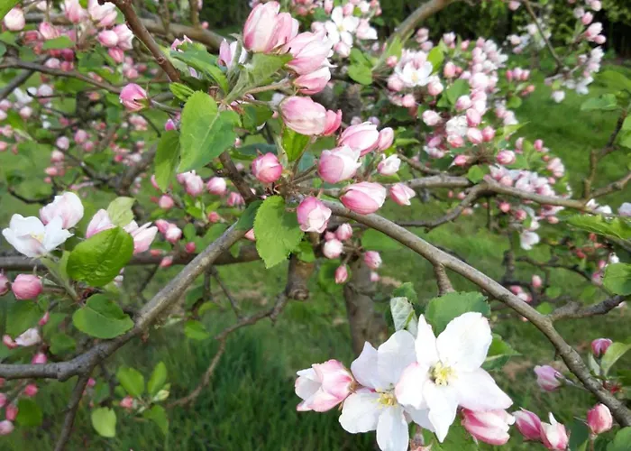 Boerderij La Trappe * Deurne